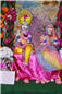 holi_nar_narayan_dev_jayanti_003.jpg